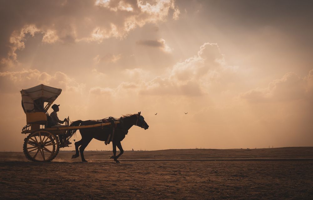 Timeless Journey in the Golden Sunset