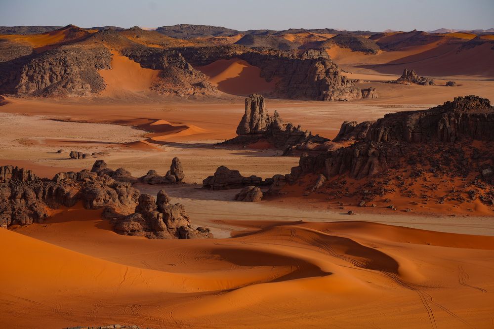 Фотография автора Светлана Зимина