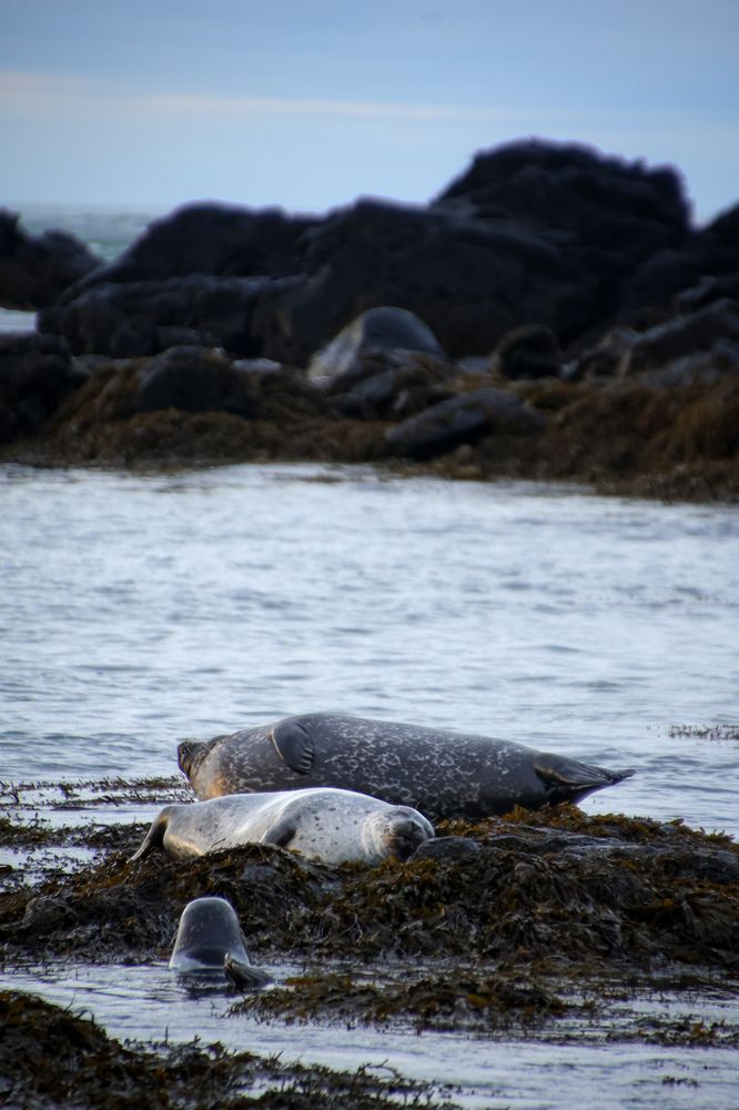 Photograph by Marina Kapstik