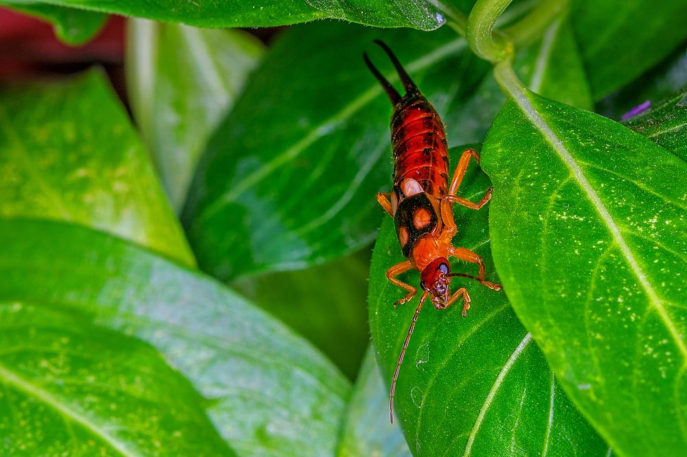 Photograph by Dragan Cerovic