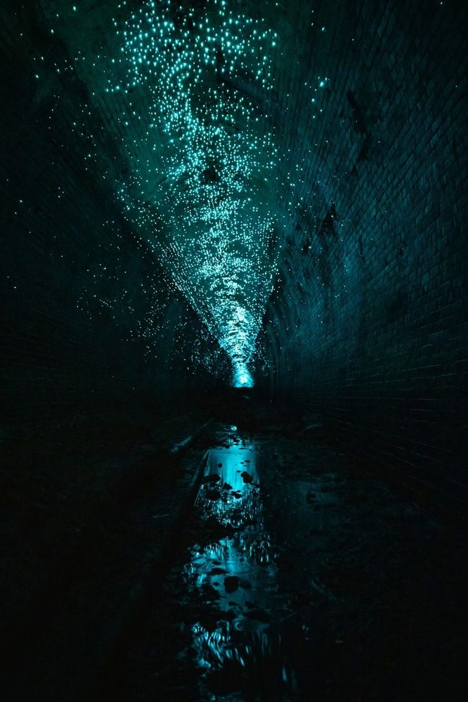 Photograph by Janet Williams