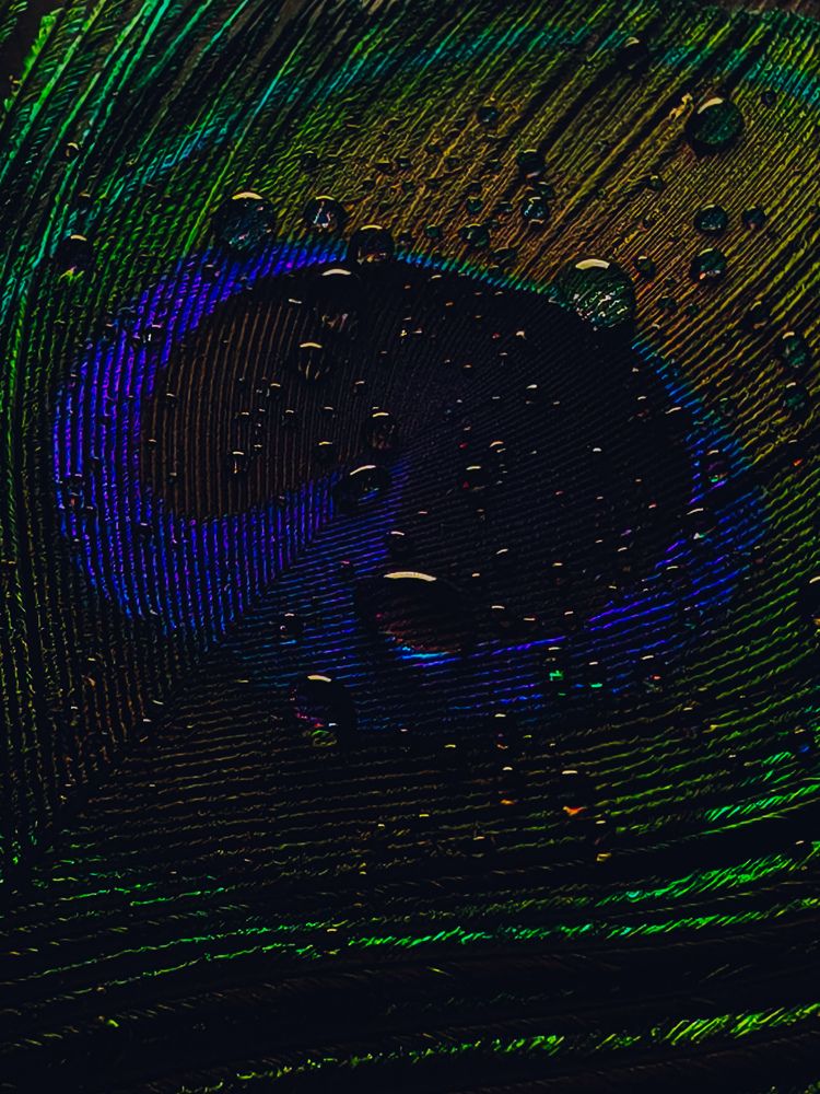 Photograph by Maria Stankevich