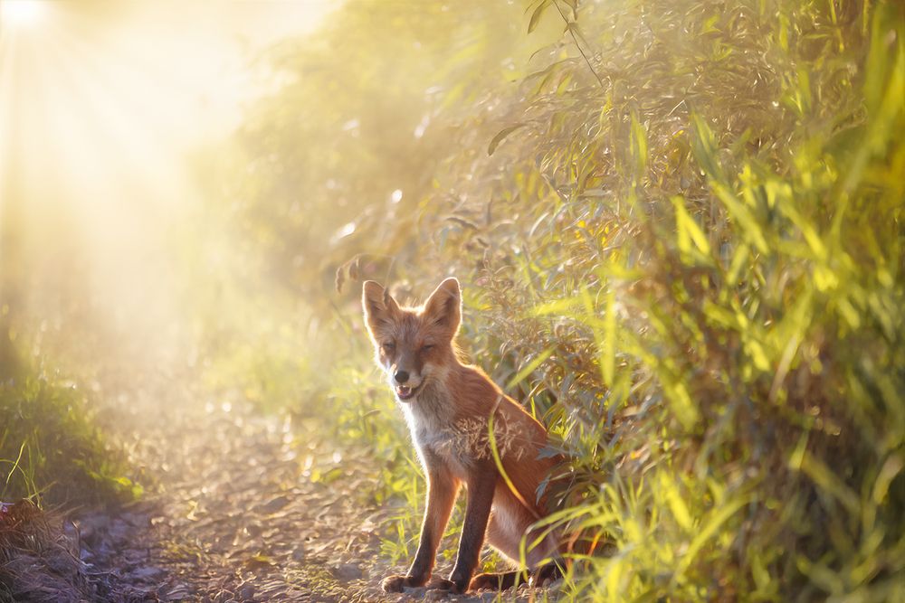 Photograph by Вероника Ливанова