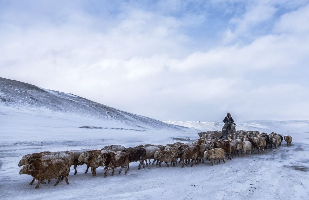 Photograph by SANGHAMITRA SARKAR