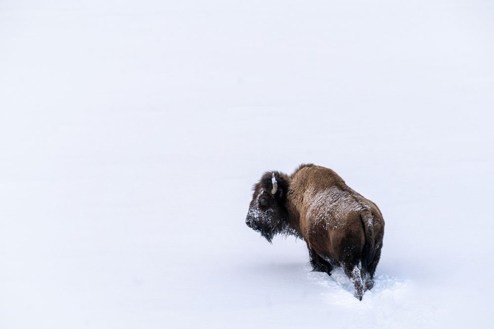 Photograph by Shauna Hart