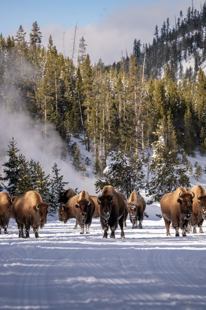 Photograph by Shauna Hart