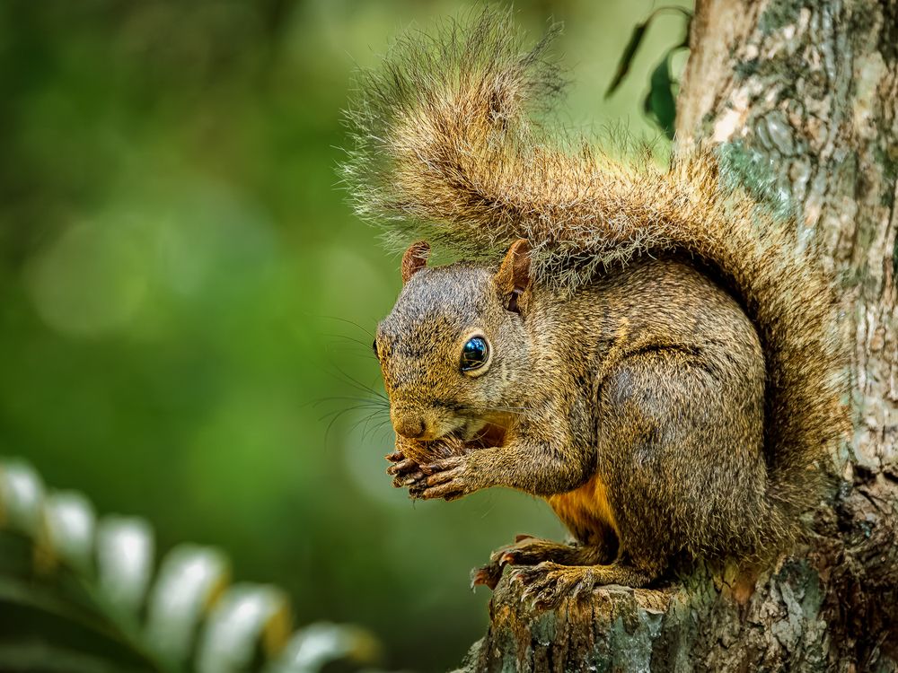 Photograph by Mauro Regalado Soares