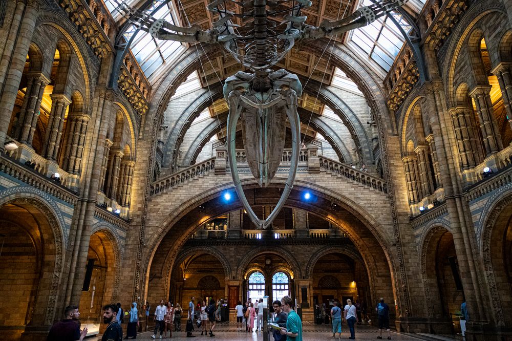 Photograph by Ioannis Graidis