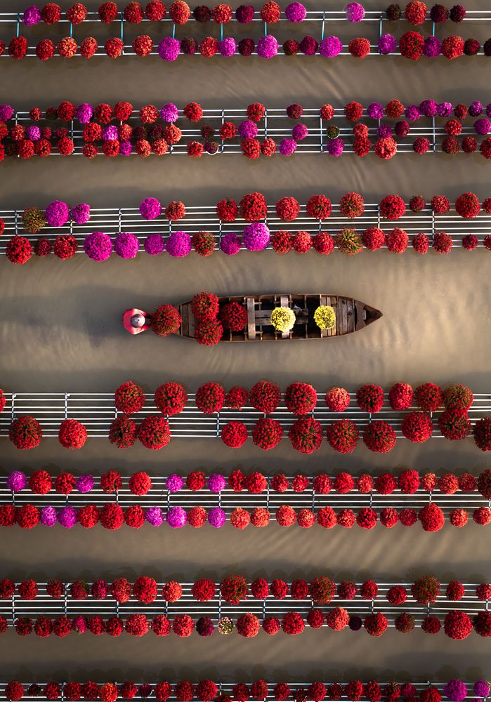 Фотография автора Pham Quynh Nga