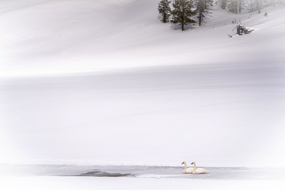 Photograph by Shauna Hart