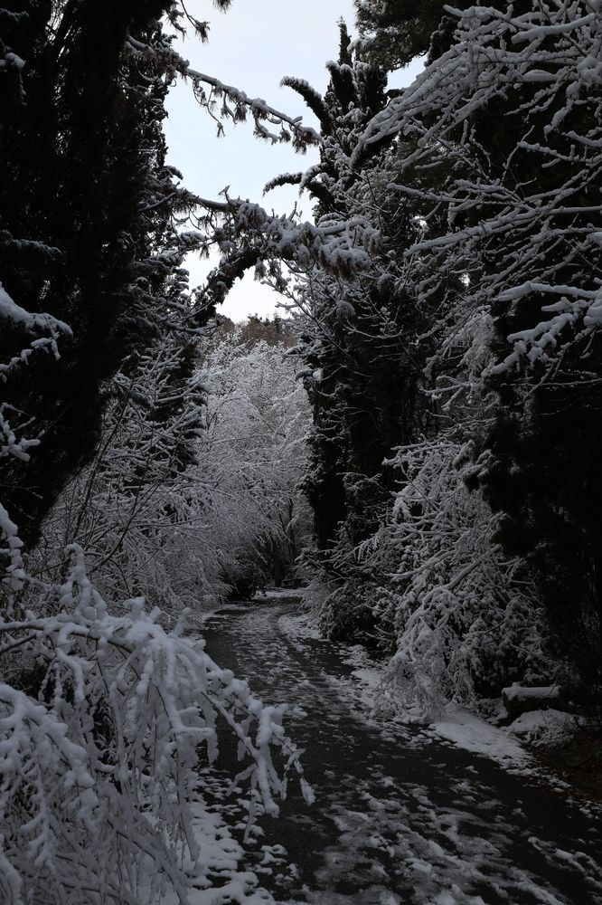 Photograph by Павел Дженбаз