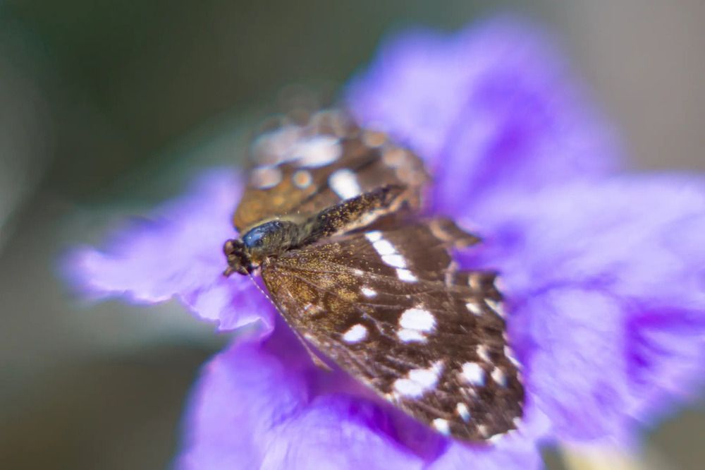 Photograph by María Laura Giorda