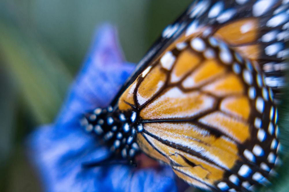 Photograph by María Laura Giorda