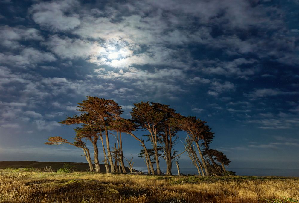 Фотография автора Ramin Barzegar