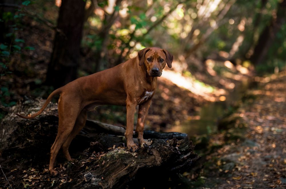 Photograph by Zaneta Konradova