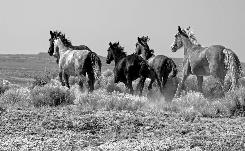 Photograph by Alex Galkin