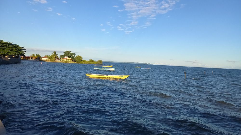 Photo #11945928