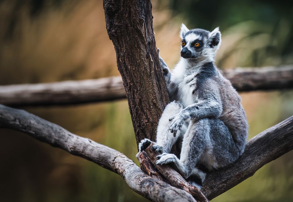 Photograph by Zaneta Konradova