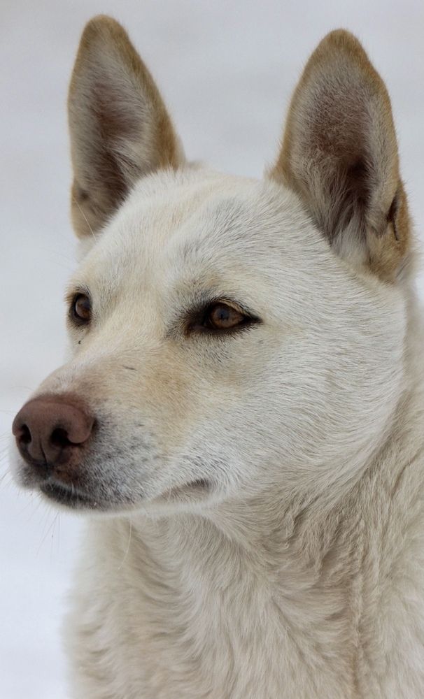 Фотография автора Ираида Гайфуллина