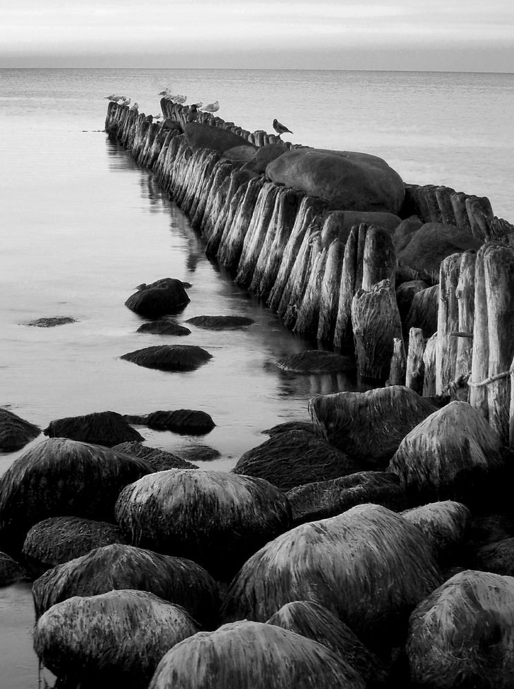Calm of the Baltic Sea