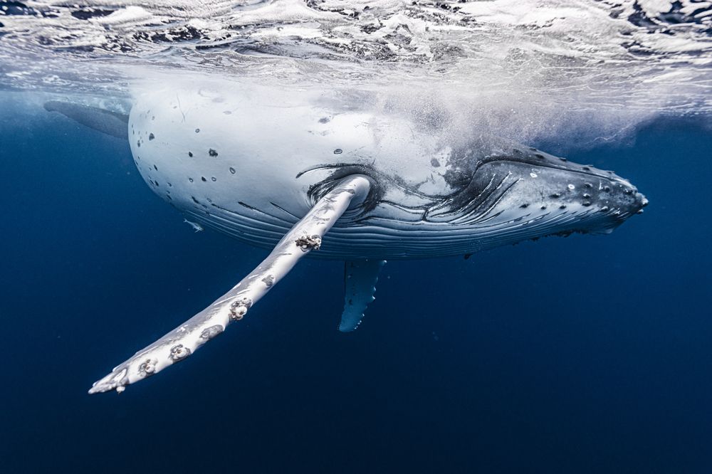 Photograph by Kurashima Daisuke