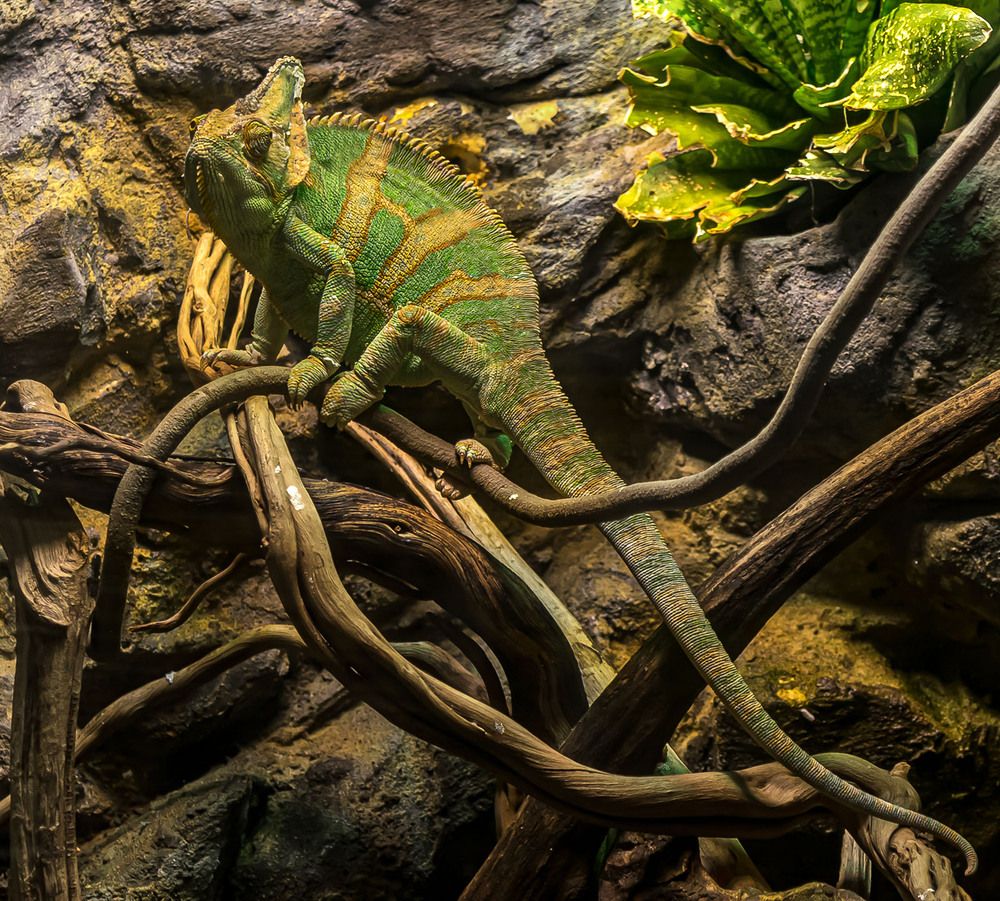 Москвариум