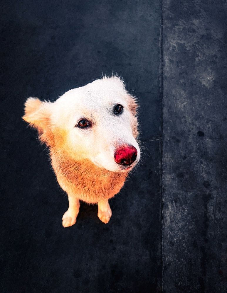 Photograph by Adel Sami