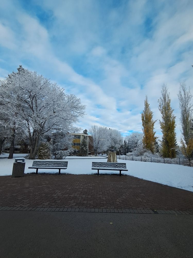 Photograph by APERNA MOHAN