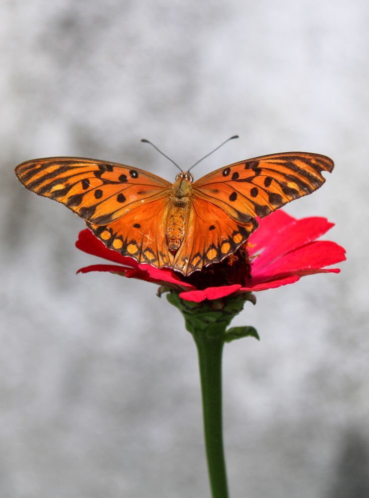 Photograph by Mariana Barboza