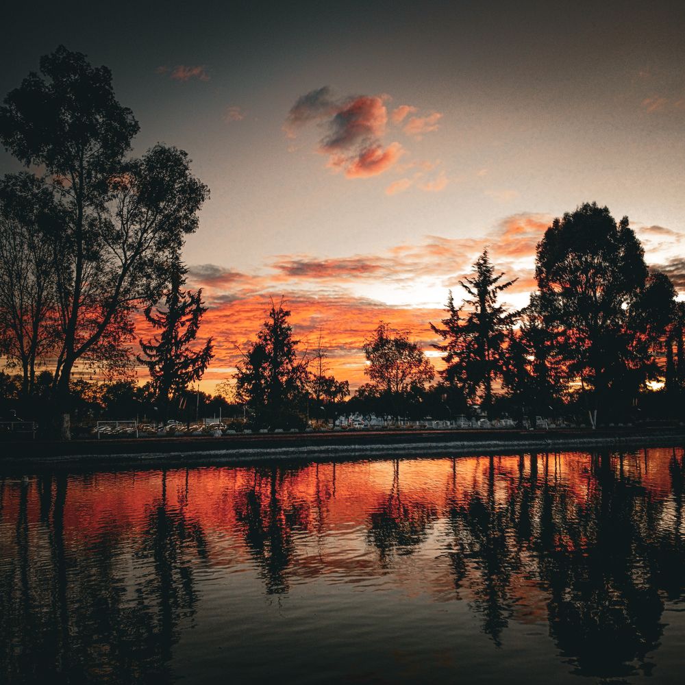 Photo #11946102