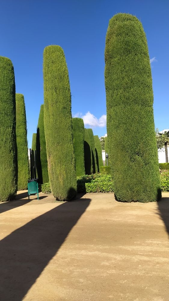 Фотография автора Инесса Ганкина