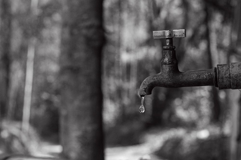 Photograph by Odo Fagundes Filho