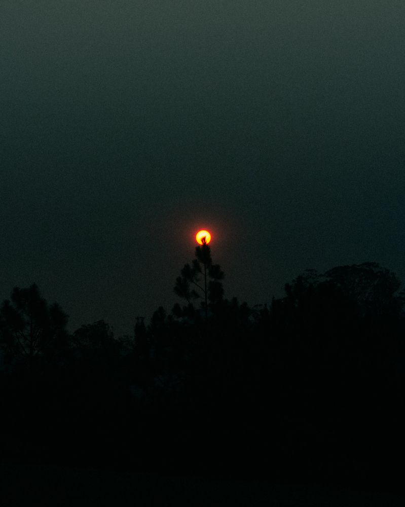 Photograph by Allan Carvalho