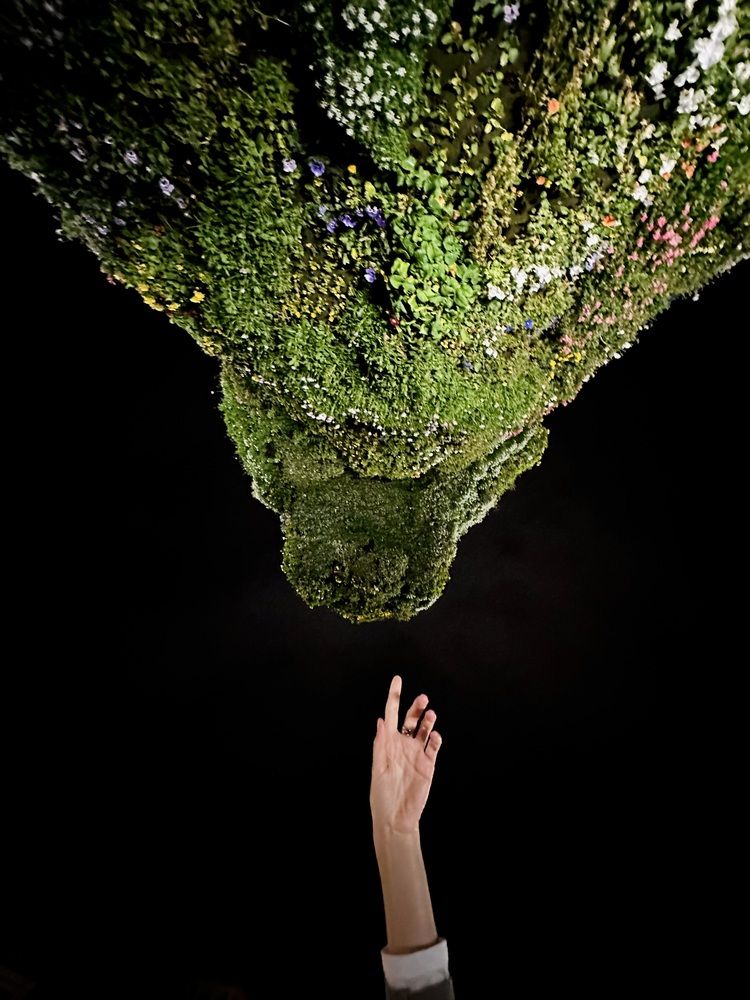 Photograph by Evgenia Barinova