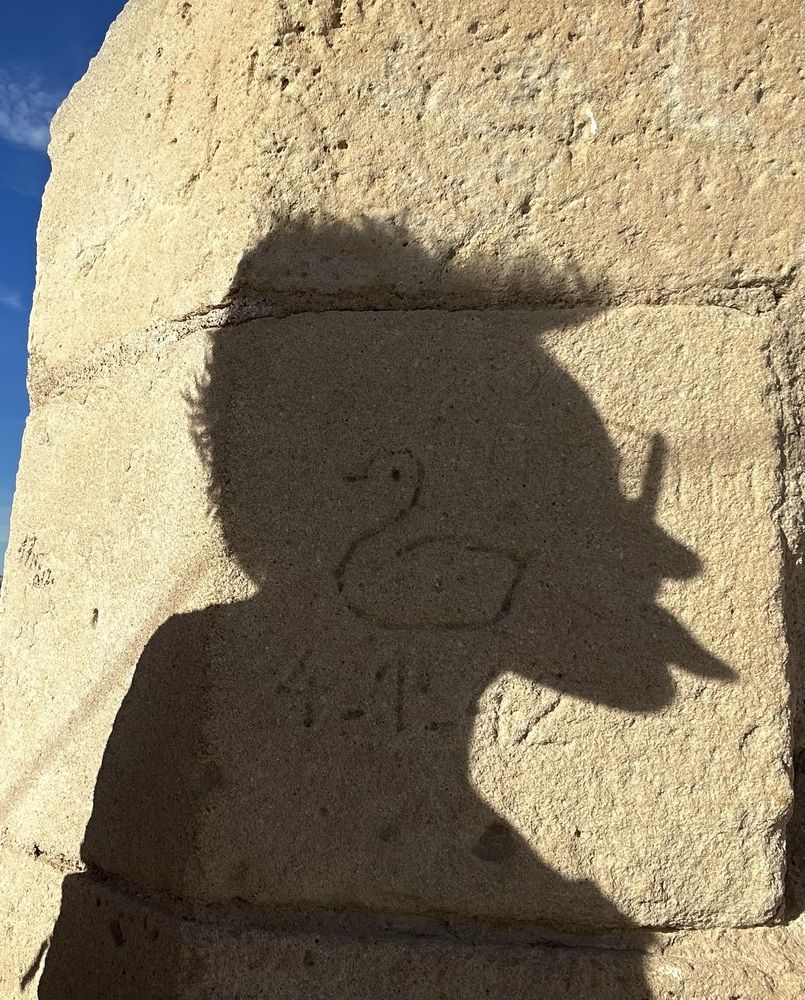 Photograph by Evgenia Barinova