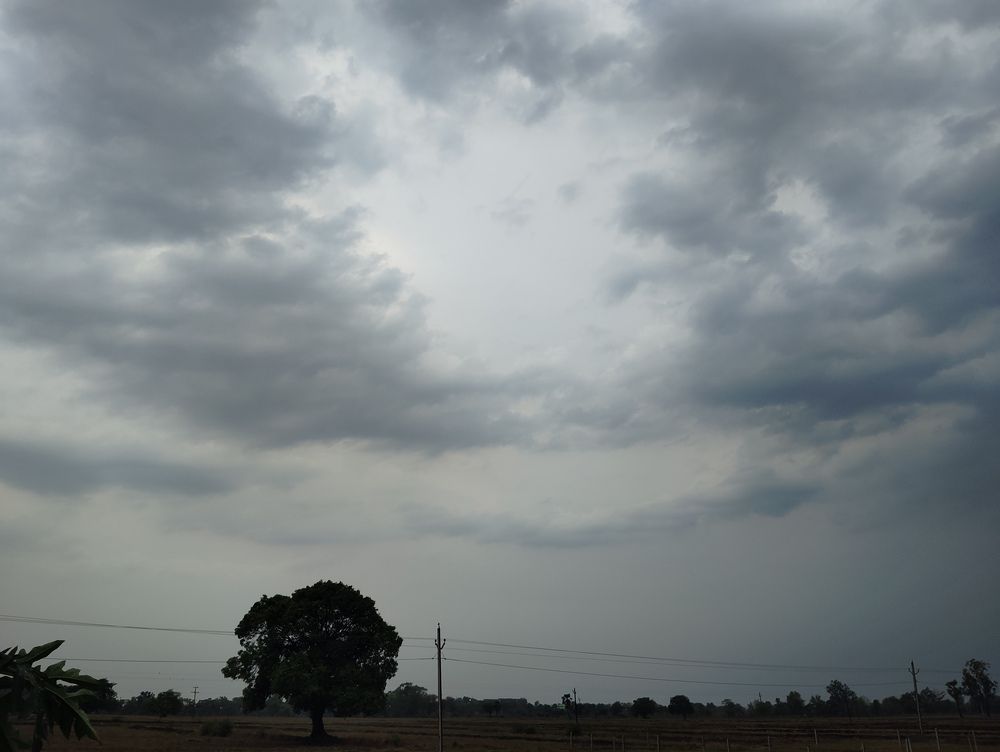 Photo #11946216