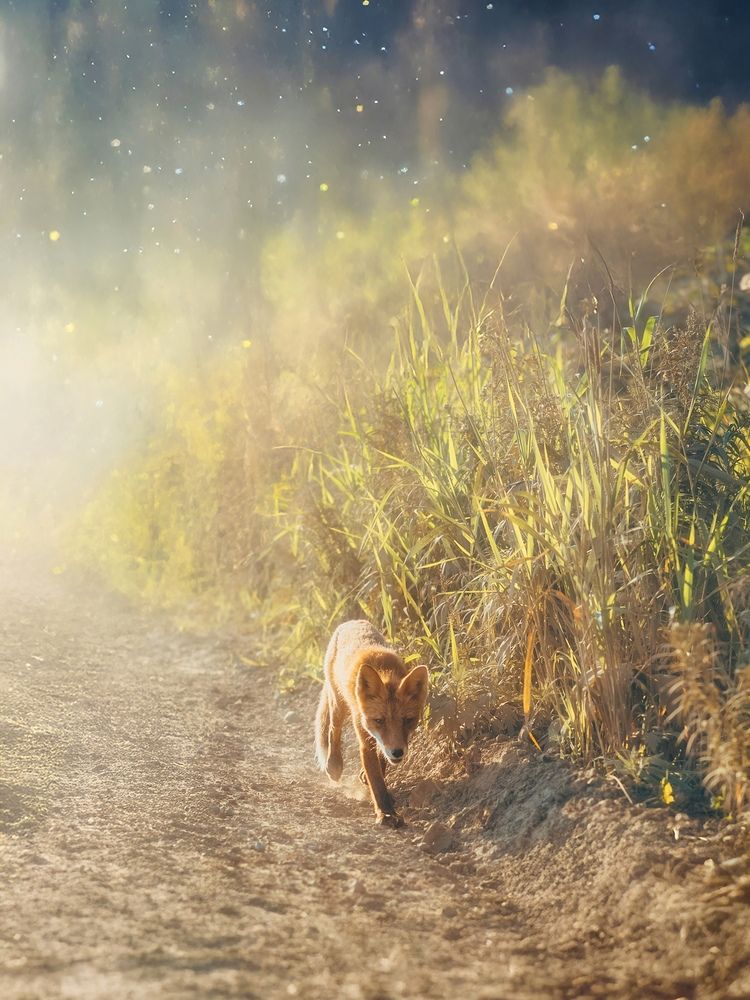 Photograph by Вероника Романенко