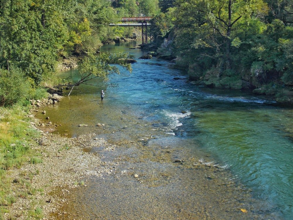 Photograph by Dragoslav Macanović