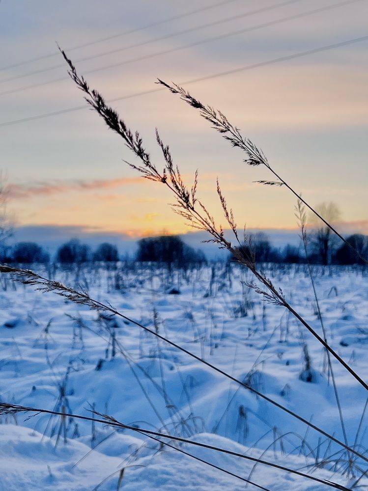 Фотография автора NATALYA OZHEGOVA