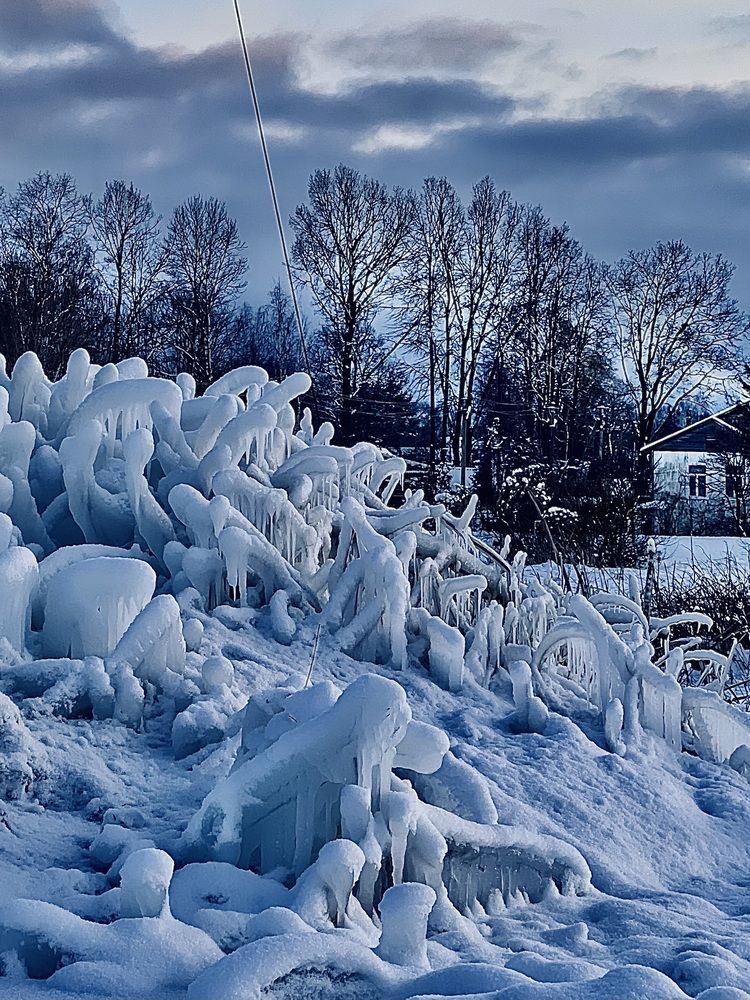 Фотография автора NATALYA OZHEGOVA