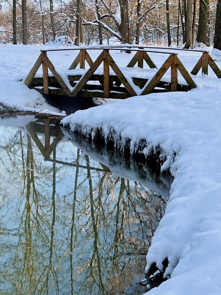 Зимний берег