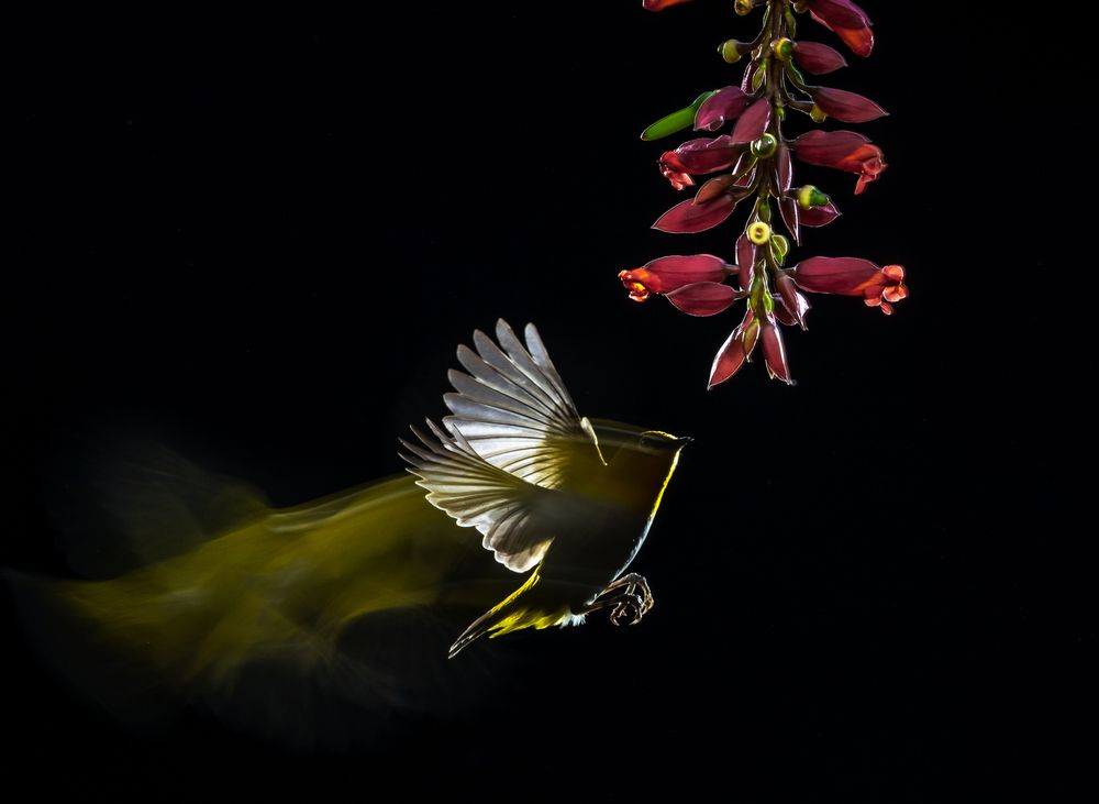 Photograph by Padmanava santra