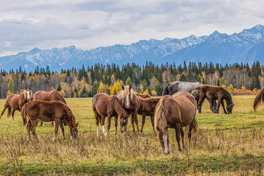 Photograph by Юрий Борик