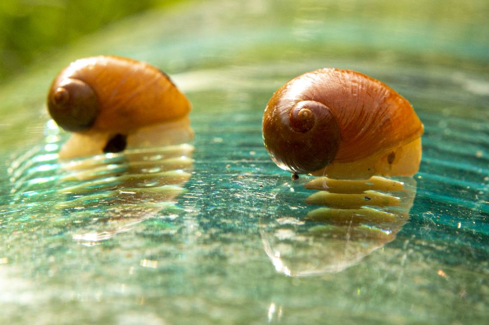 Photograph by Артём Скороделов