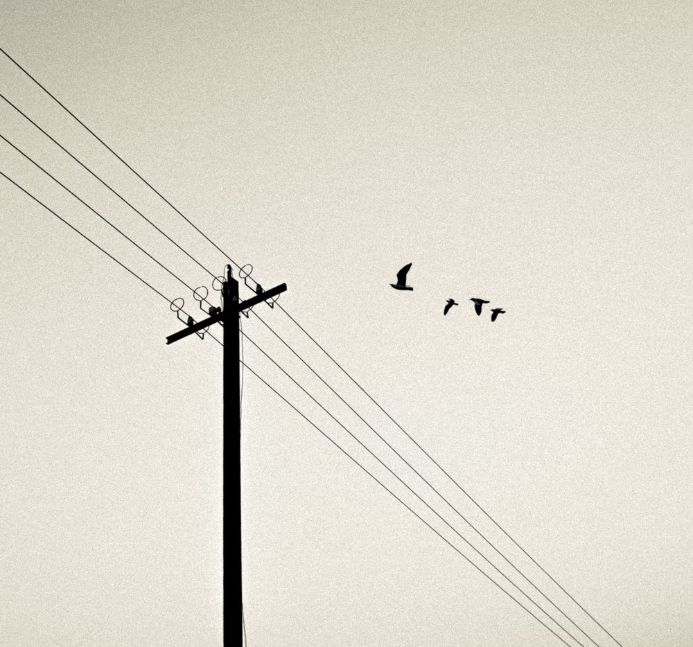 Photo #11946361
