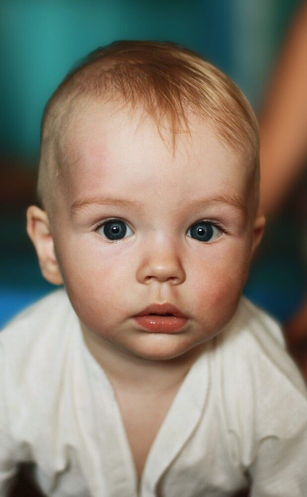 Photograph by Денис Терехин