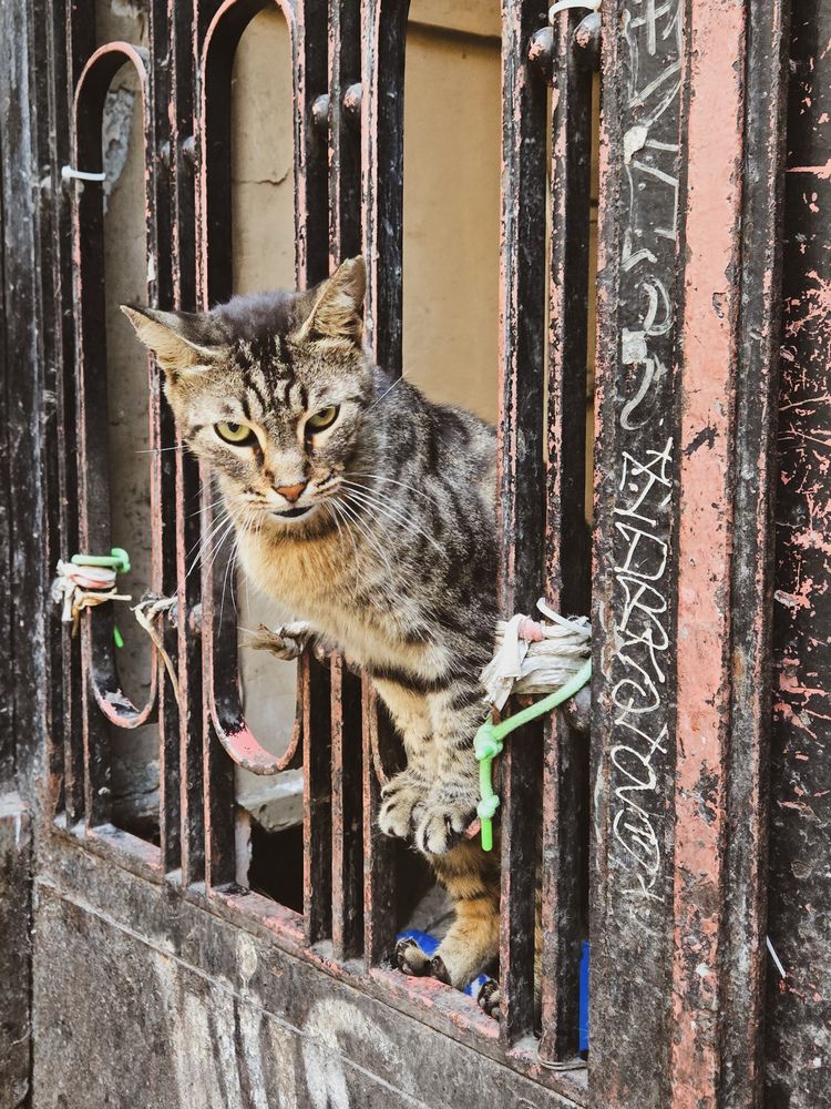 Photograph by Ольга Дёмина