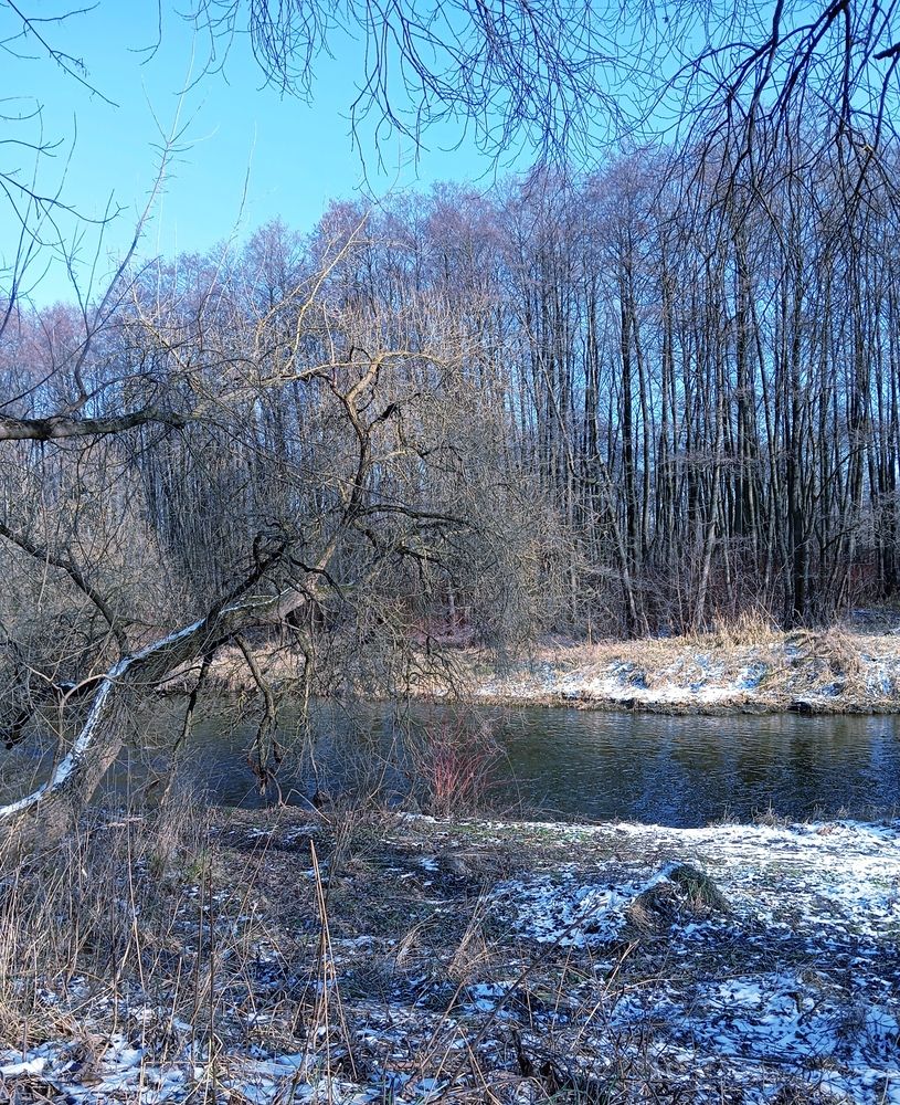 Photo #11946420