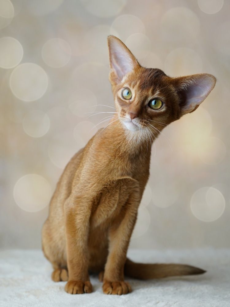 Photograph by Polina Manderson