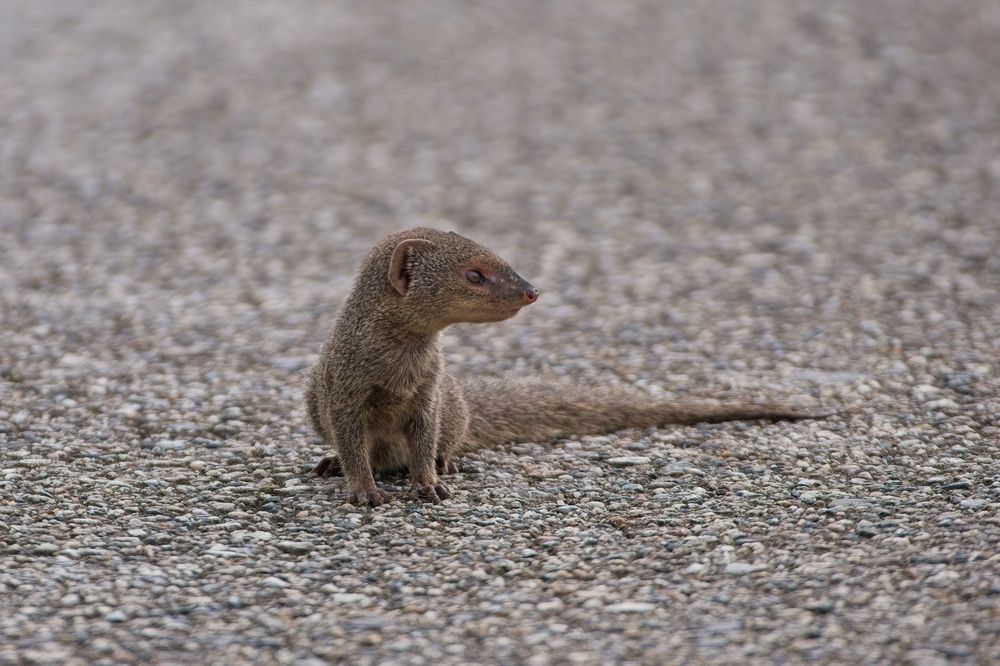 Photograph by Jerome Foster